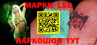 apvp Кингисепп