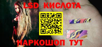 apvp Кингисепп