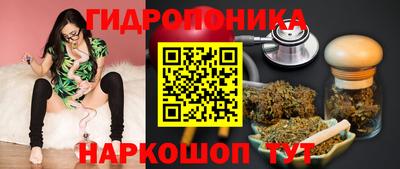 крисы Кимры