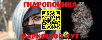 apvp Кингисепп