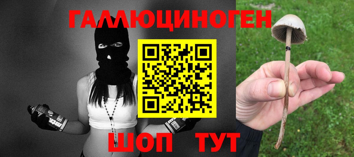 Ялуторовск  Псилоцибиновые грибы Psilocybine cubensis  сколько стоит  Вход с VPN 